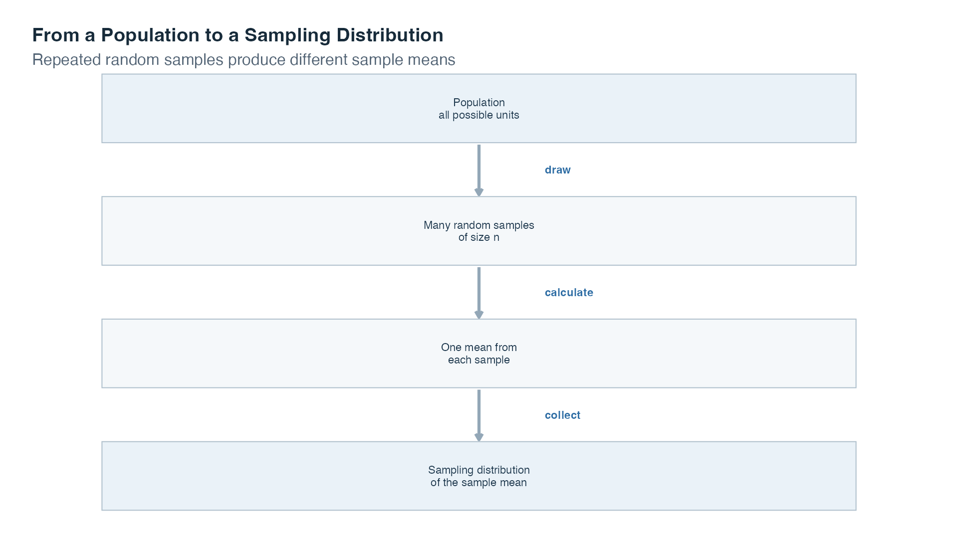 A top-to-bottom process begins with a population, draws many random samples of size n, calculates one mean from each sample, and collects those means into the sampling distribution of the sample mean.